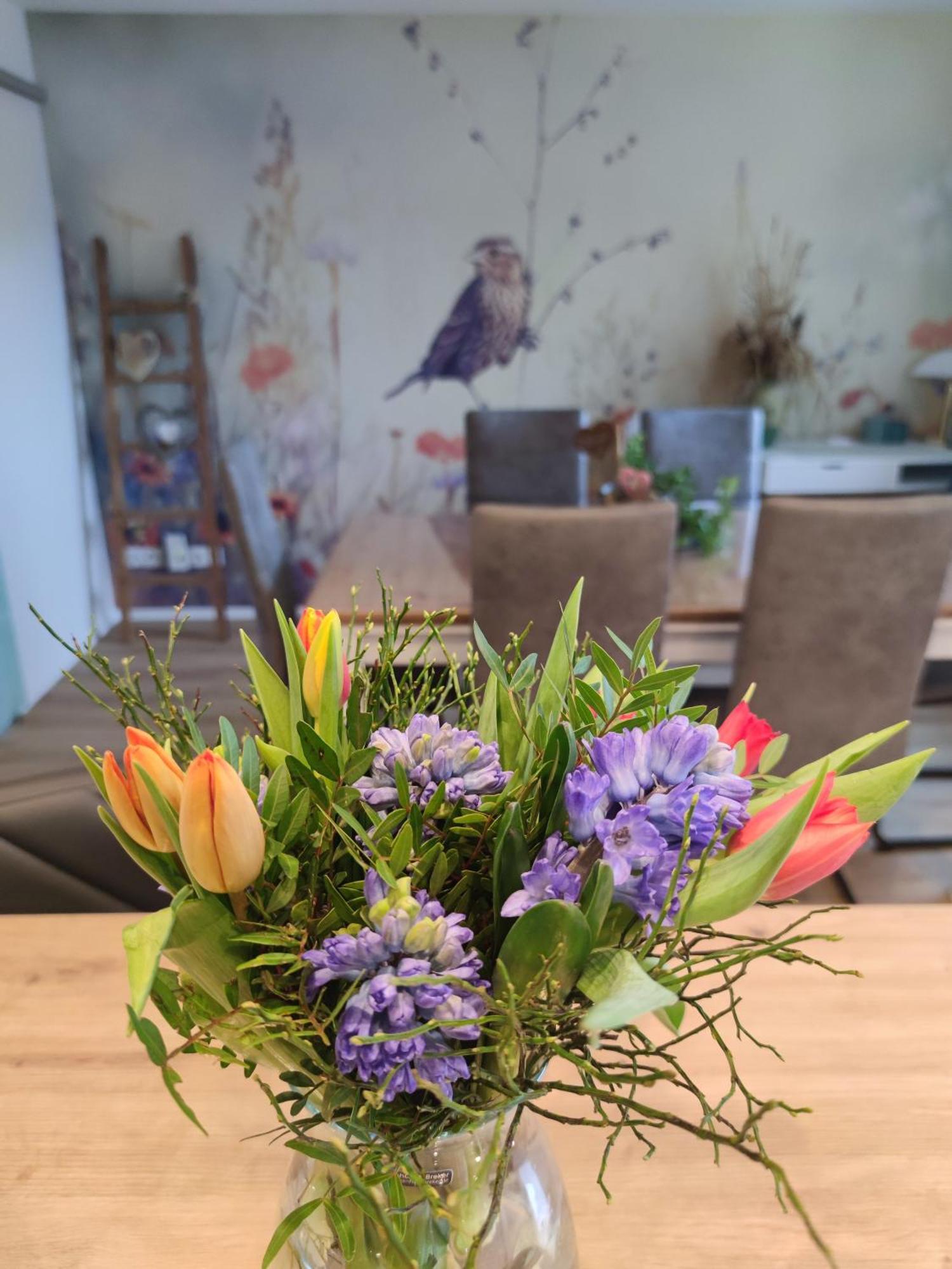 Ferienhaus Kirsch 블랑켄하인 외부 사진