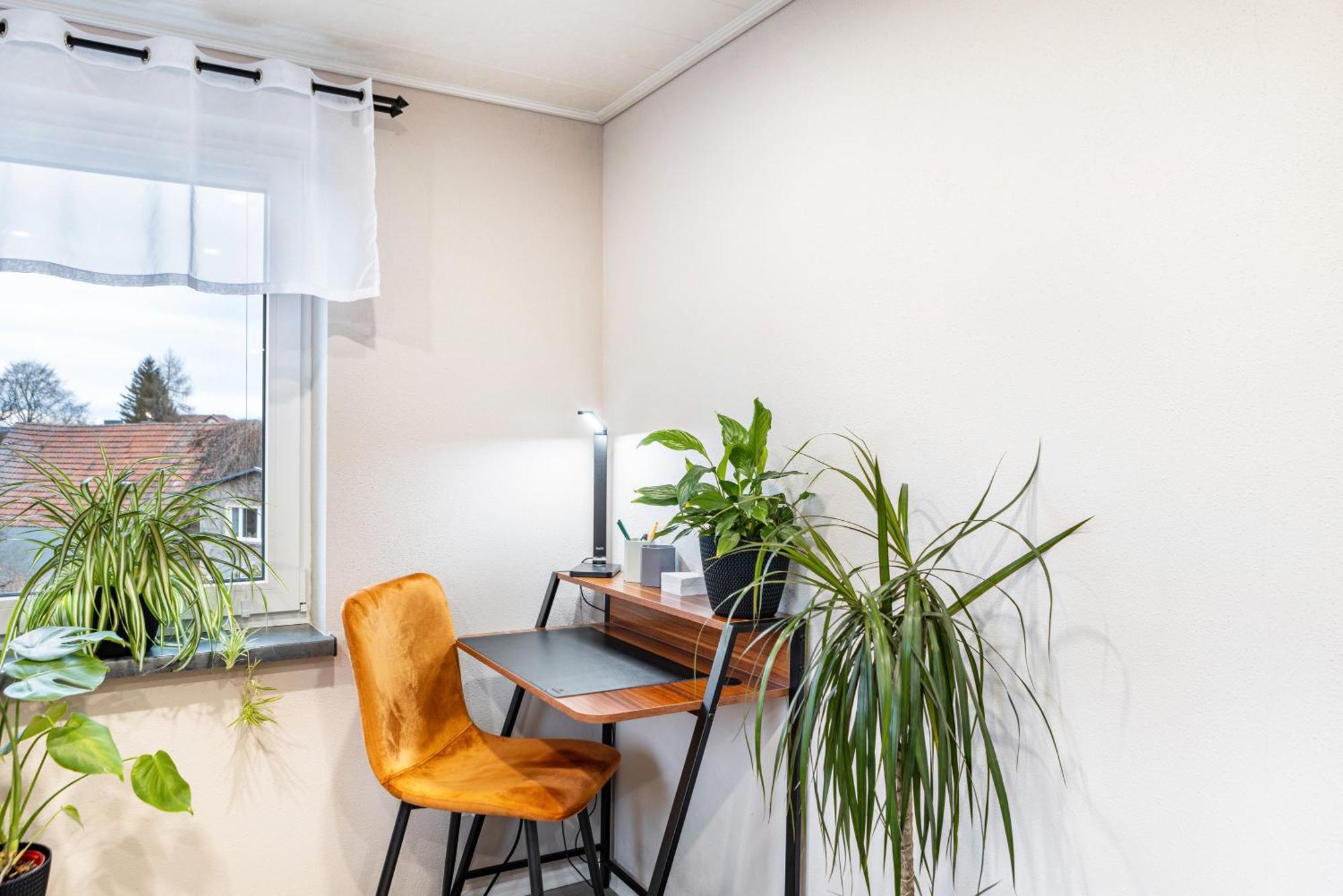Ferienhaus Kirsch 블랑켄하인 외부 사진